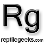 Reptile Geeks