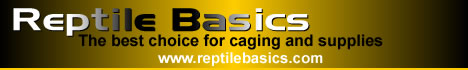 Reptile Basics