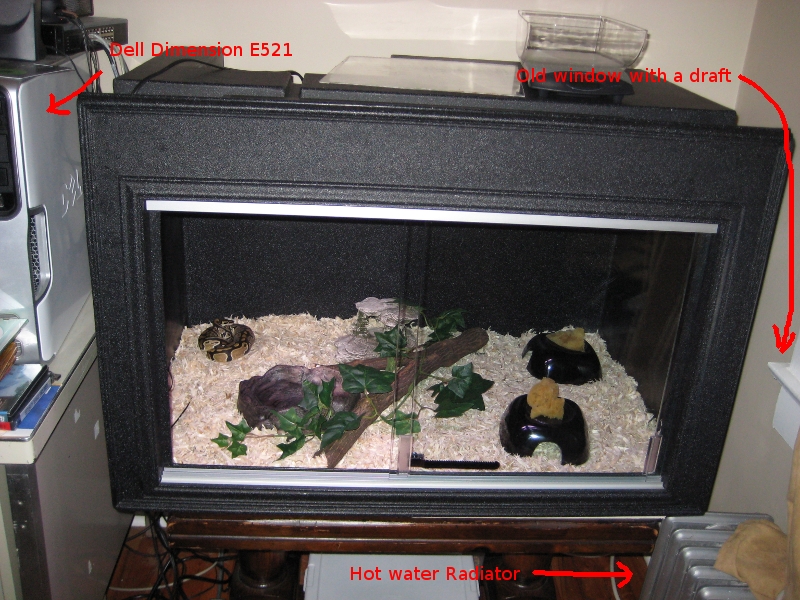 ball python breeding setups
