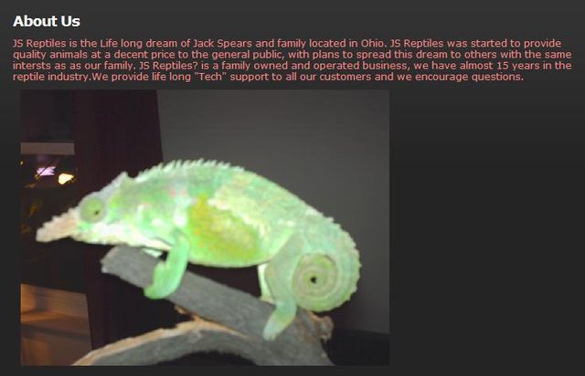 Jsreptilesaboutus.jpg