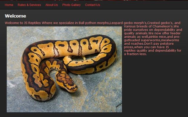 jsreptileswelcome.jpg